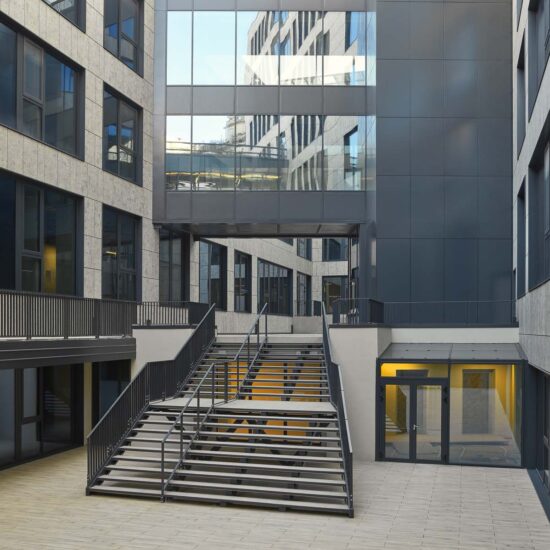 Ragno Regina Giovanna 000