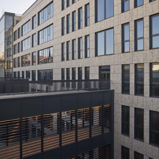 Ragno Regina Giovanna 003