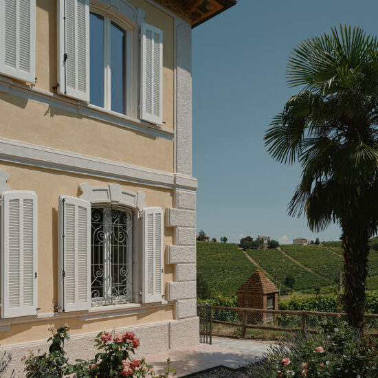 Ragno Villa Tinella 005