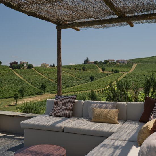 Ragno Villa Tinella 006