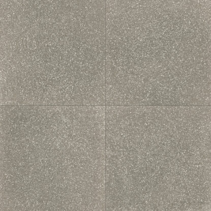 ragno abitare r62s.jpg