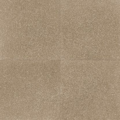 ragno abitare r62t.jpg