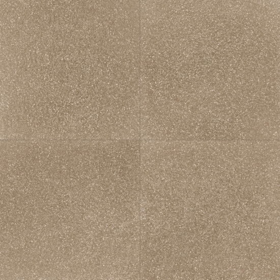 ragno abitare r62t.jpg