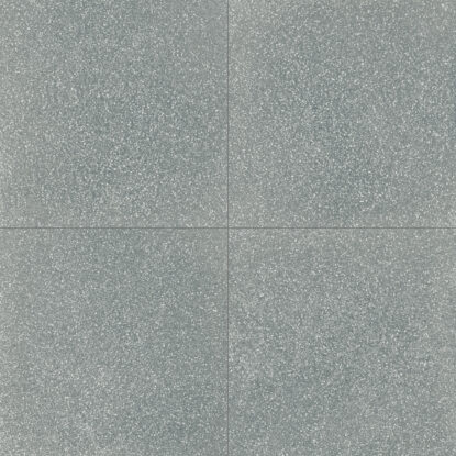 ragno abitare r62v.jpg
