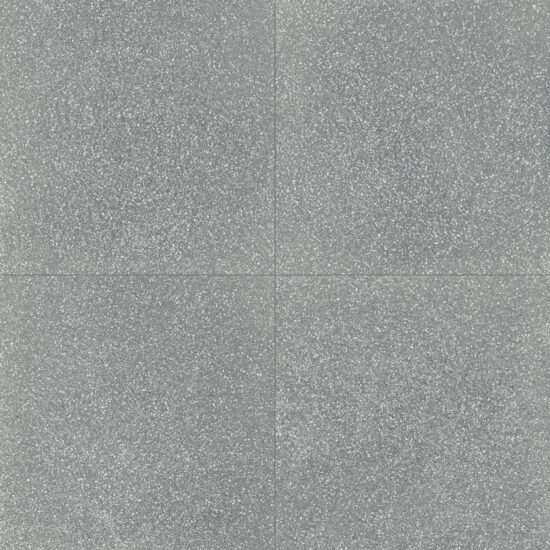 ragno abitare r62v.jpg