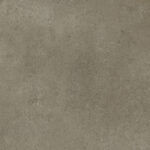 ragno clayton raea.jpg