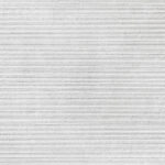 ragno clayton raee.jpg