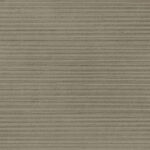 ragno clayton raeh.jpg