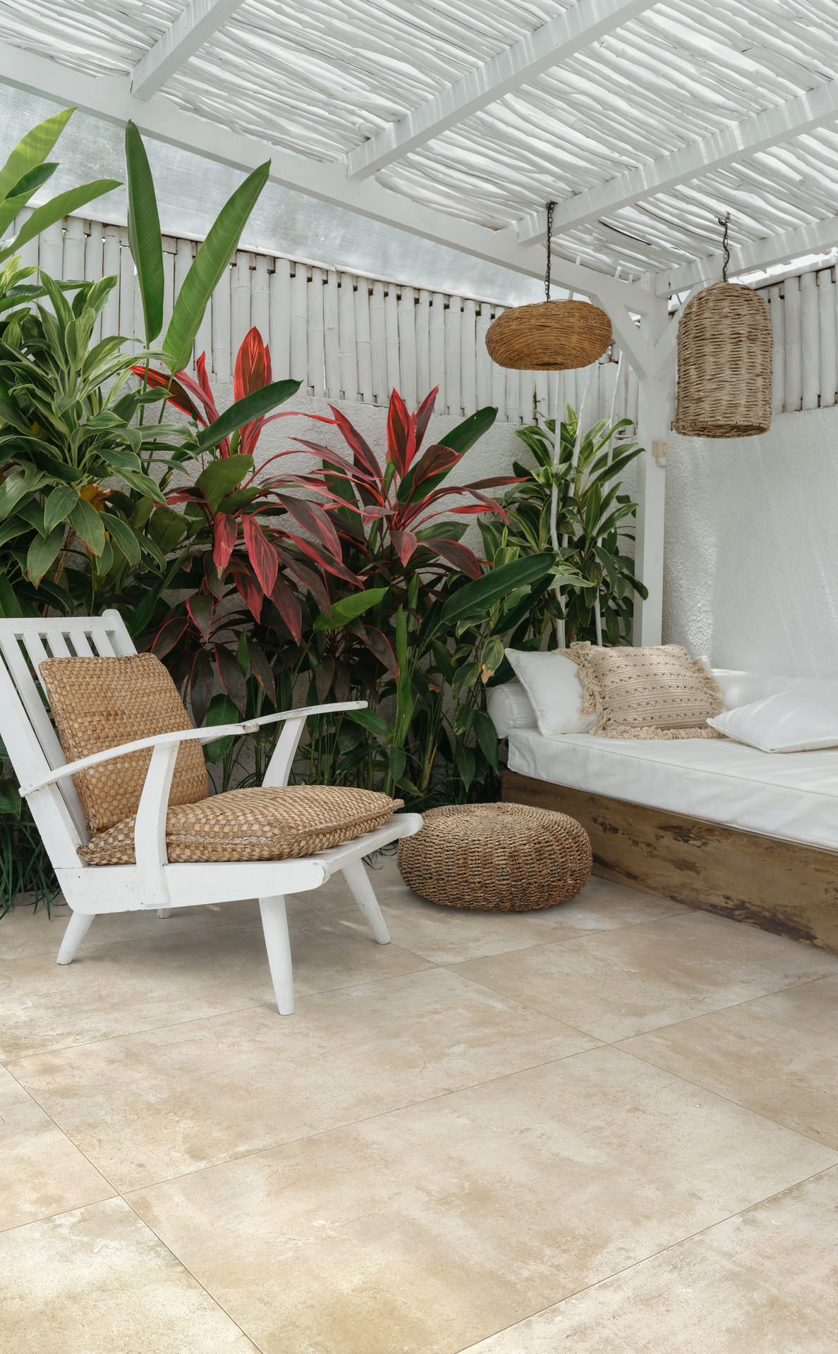 ragno clayton 004.jpg