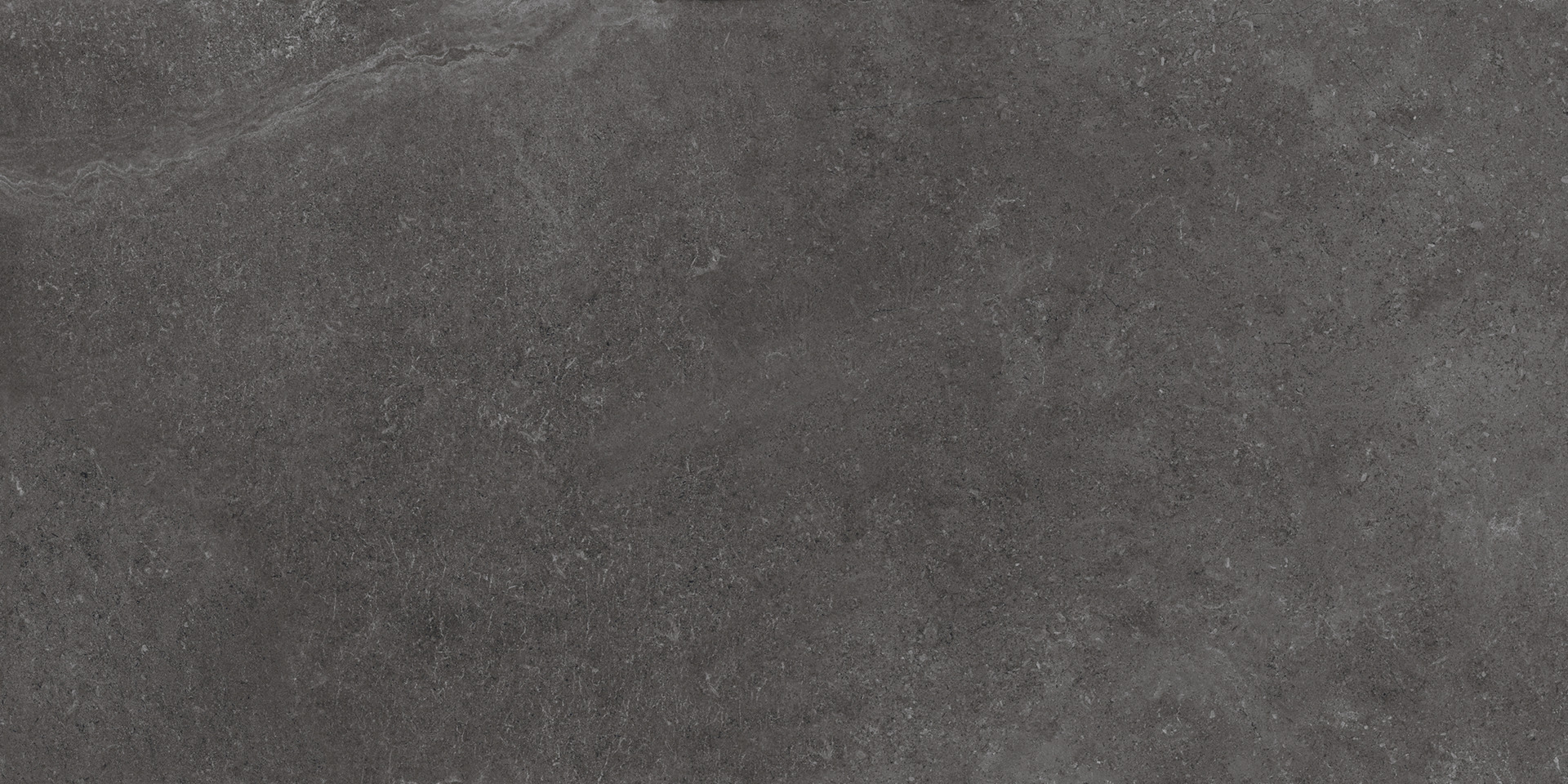 ragno creek r5jy.jpg