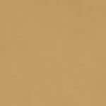 ragno decora ra5d.jpg