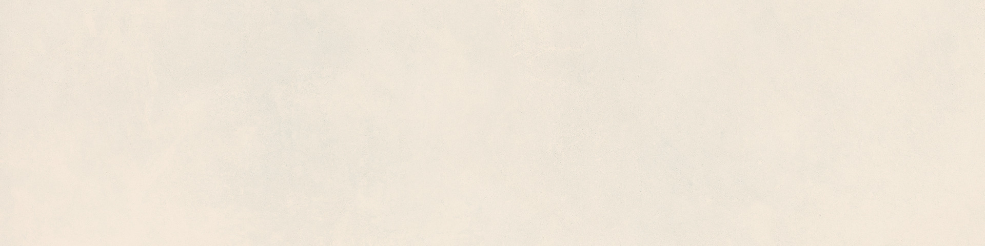 ragno decora ra5h.jpg