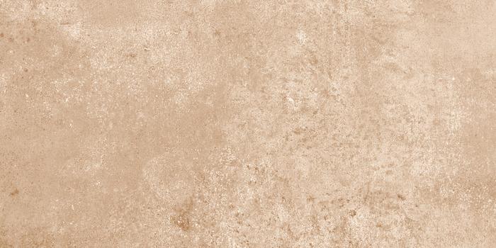 ragno epoca r55f.jpg