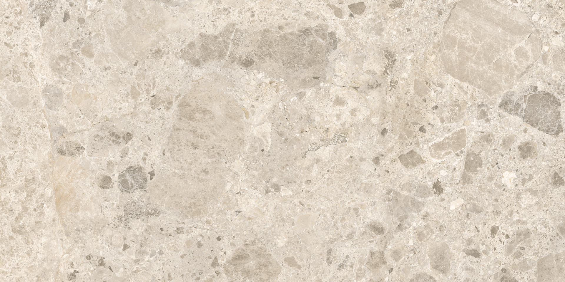 ragno eterna r8jp.jpg