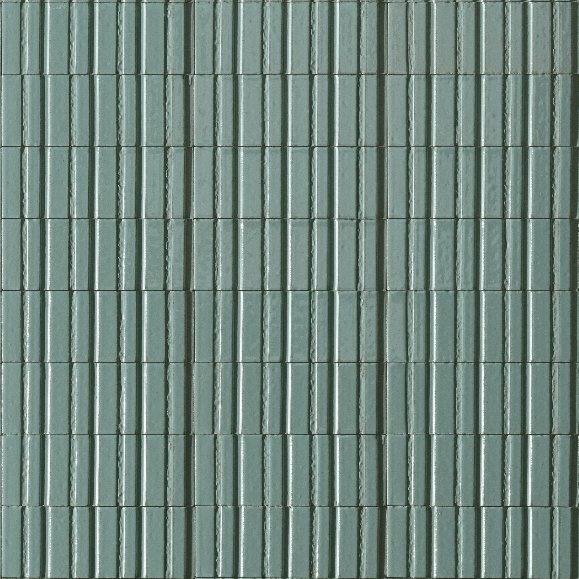 ragno glace raep.jpg