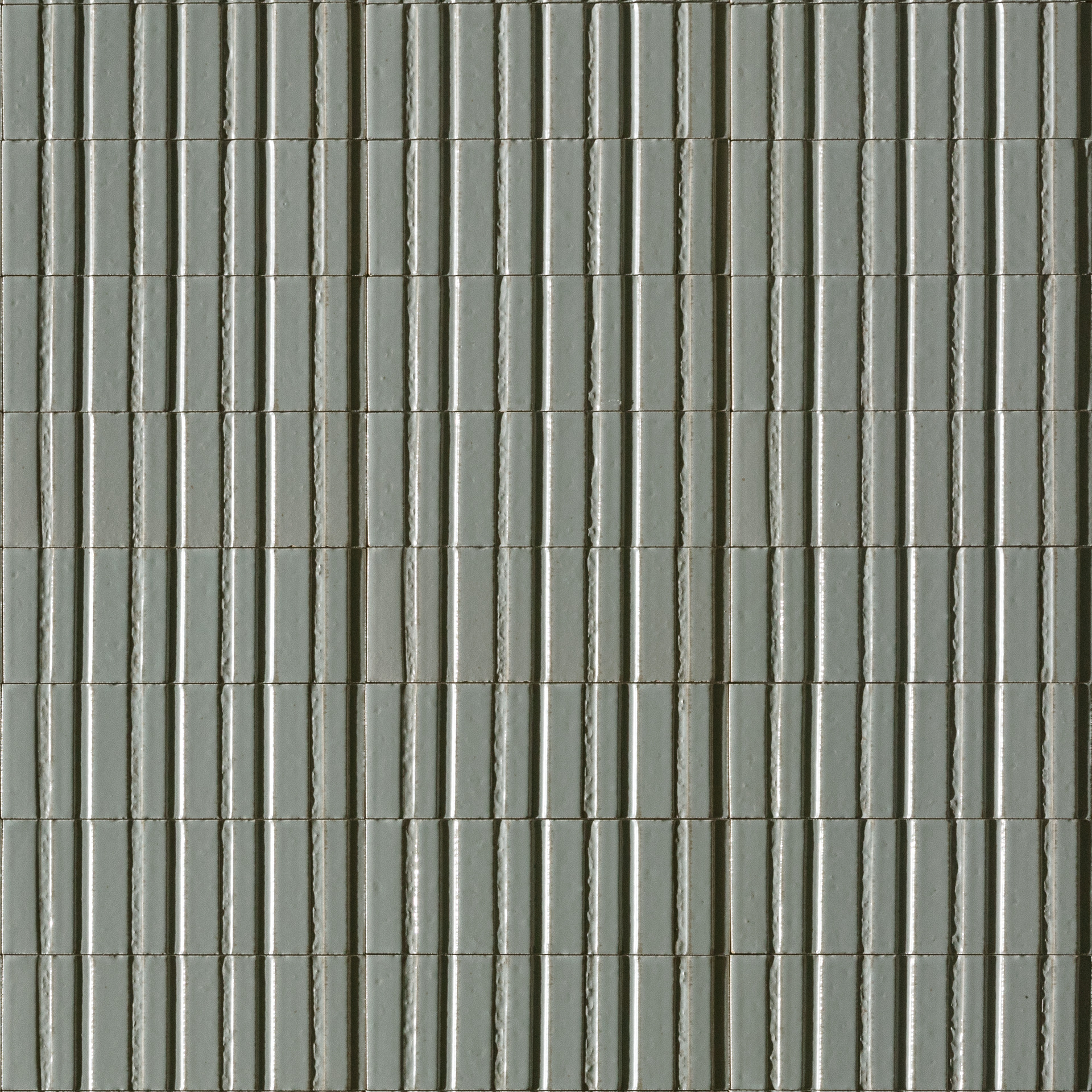 ragno glace raeq.jpg