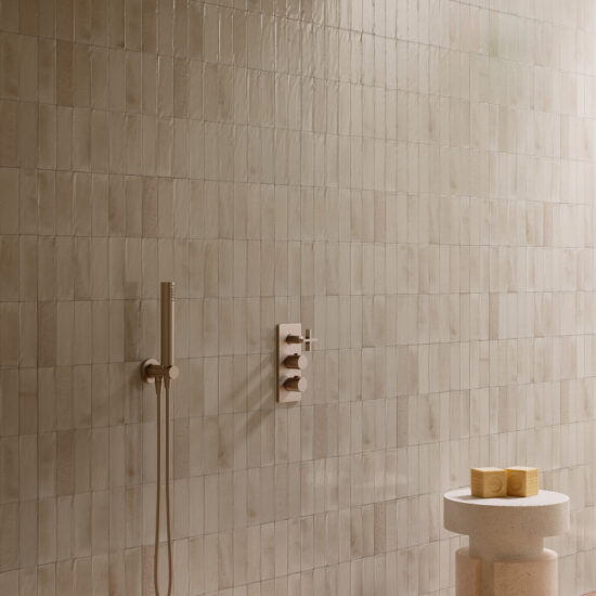 ragno gleeze 010.jpg