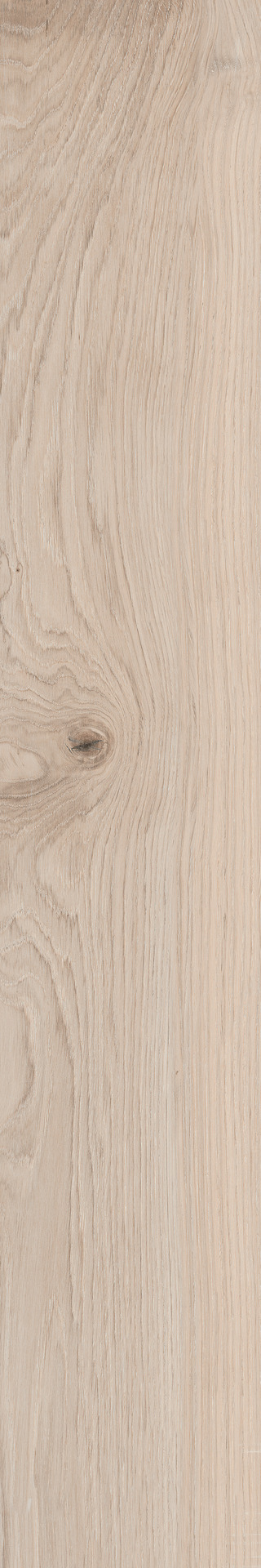 ragno grove ra4t.jpg