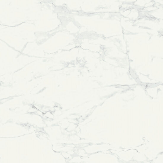 ragno imperiale r70z.jpg