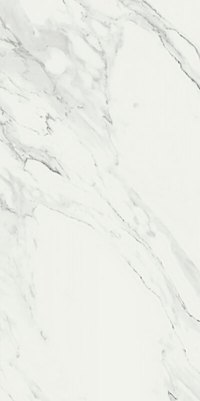 ragno imperiale r710.jpg