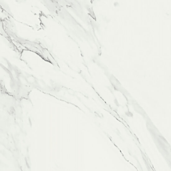 ragno imperiale r710.jpg