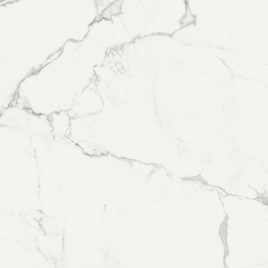 ragno imperiale r72g.jpg