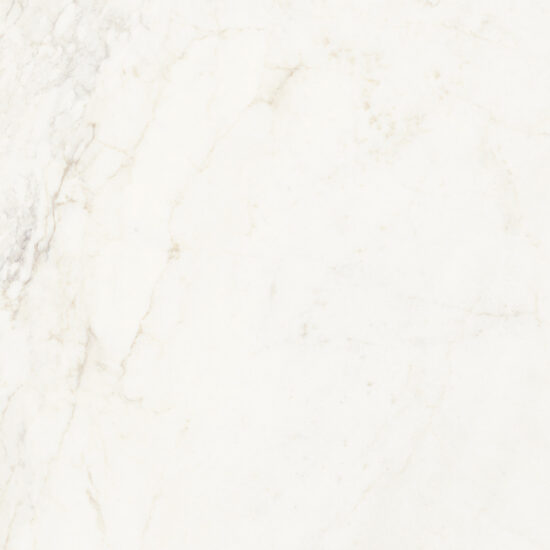 ragno imperiale r72h.jpg