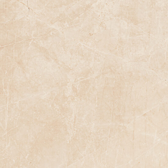 ragno imperiale r72m.jpg