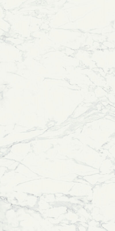 ragno imperiale r72p.jpg