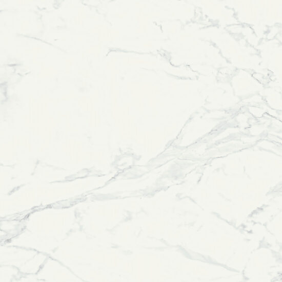 ragno imperiale r72p.jpg