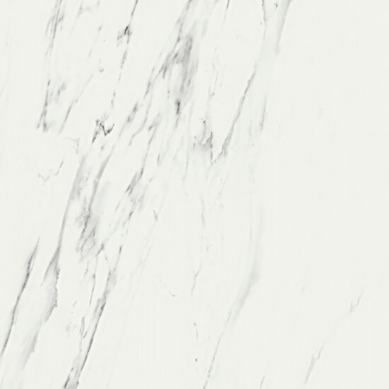 ragno imperiale r72q.jpg