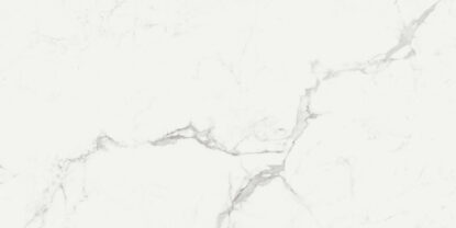 ragno imperiale r72r.jpg