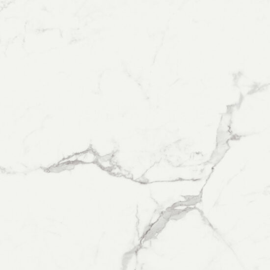 ragno imperiale r72r.jpg