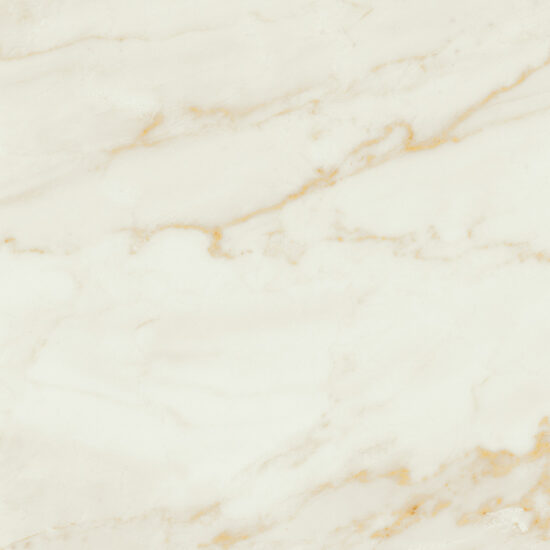 ragno imperiale r72s.jpg