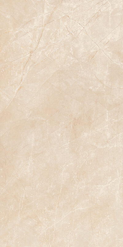 ragno imperiale r72u.jpg