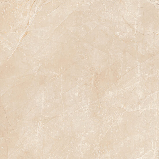 ragno imperiale r72u.jpg