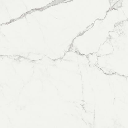 ragno imperiale r72y.jpg