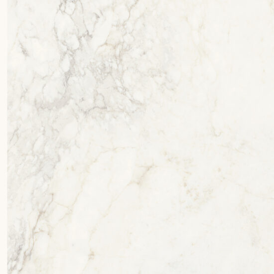 ragno imperiale r72z.jpg