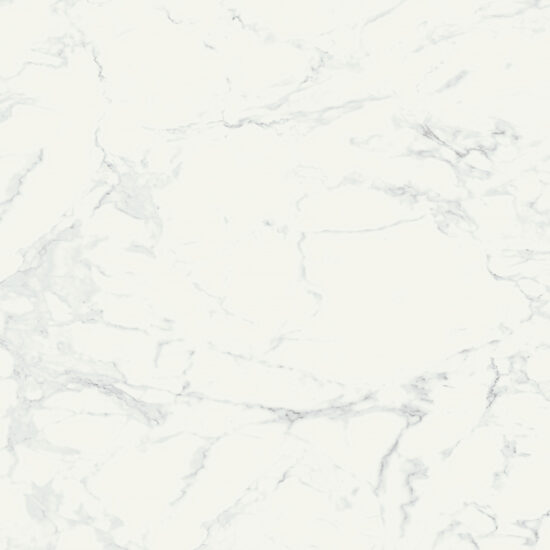 ragno imperiale r738.jpg