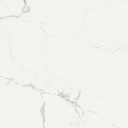 ragno imperiale r73a.jpg