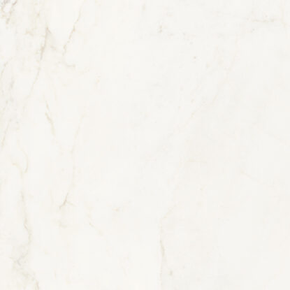 ragno imperiale r73c.jpg