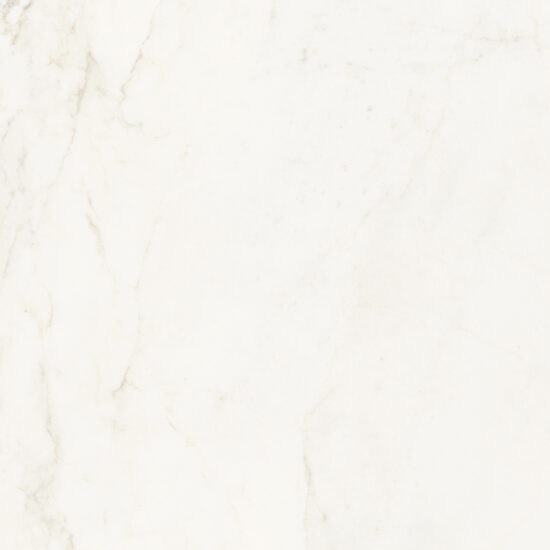 ragno imperiale r73c.jpg