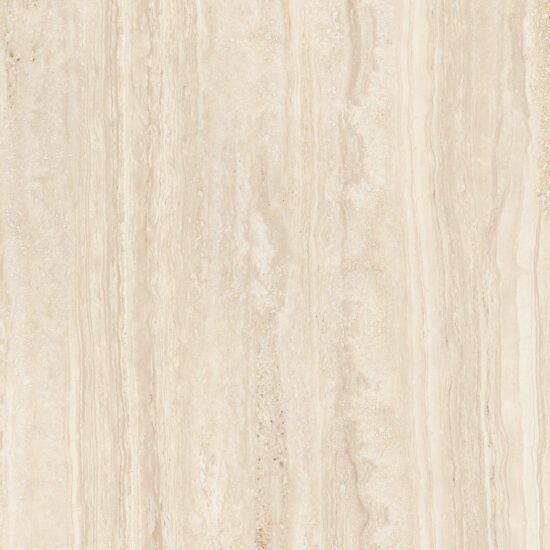 ragno imperiale r73e.jpg