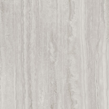 ragno imperiale r73f.jpg