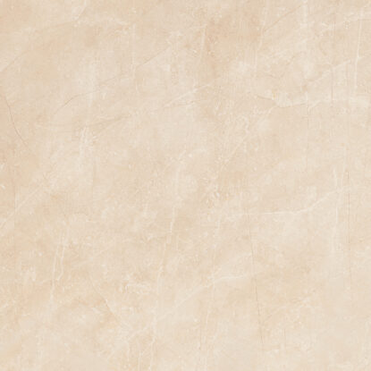 ragno imperiale r73g.jpg