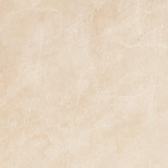 ragno imperiale r73g.jpg