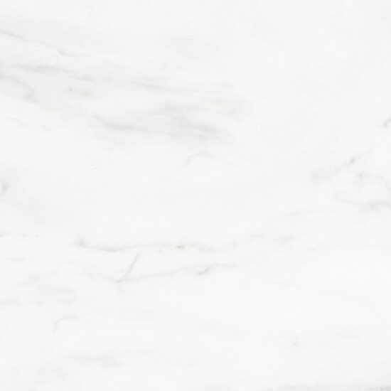 ragno imperiale r74d.jpg