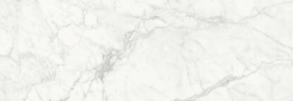 ragno imperiale r74e.jpg