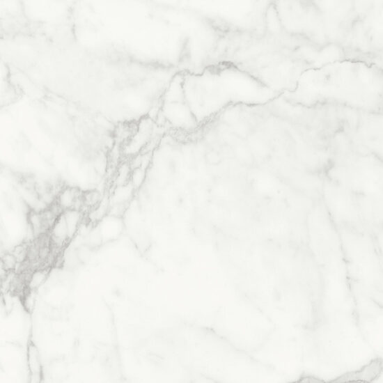 ragno imperiale r74e.jpg