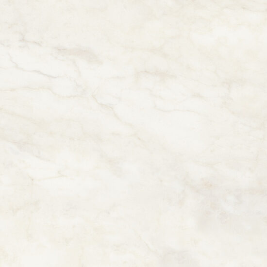 ragno imperiale r74f.jpg